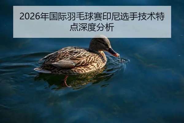 2026年国际羽毛球赛印尼选手技术特点深度分析